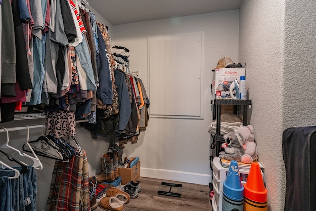 walk in closet with hardwood / wood-style flooring