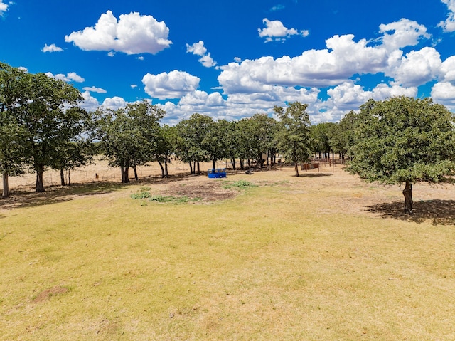 view of yard with a rural view