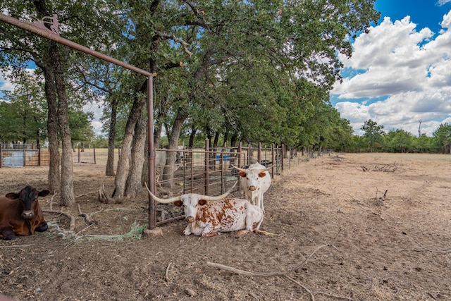 view of yard with a rural view