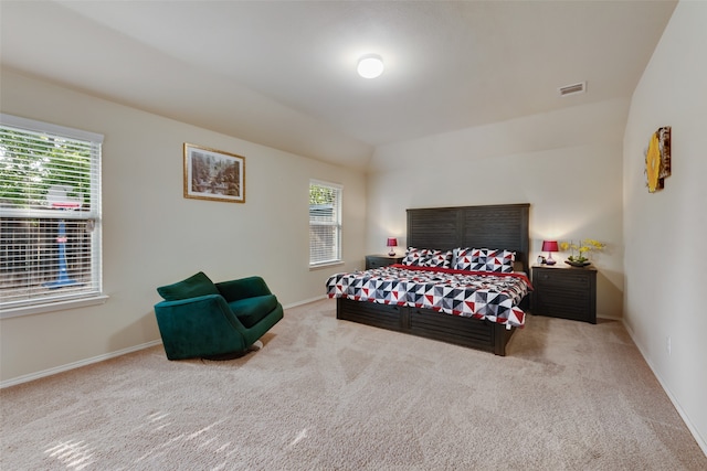 carpeted bedroom with multiple windows