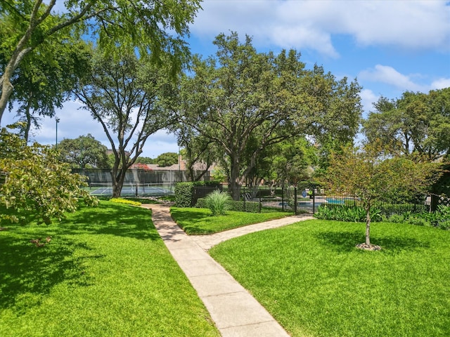 view of community with a yard