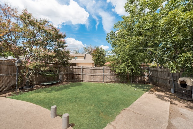 view of yard featuring a patio area