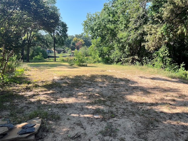 Listing photo 3 for LOT304 Hidalgo Loop, Payne Springs TX 75156