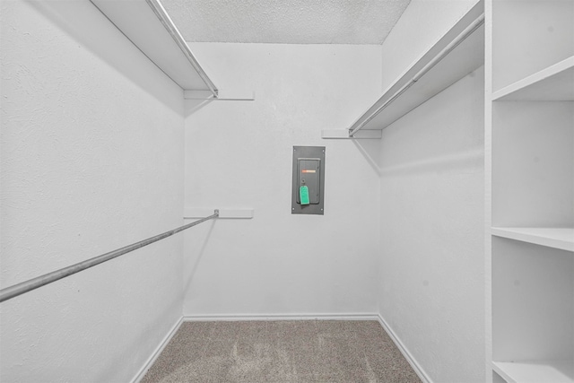 walk in closet featuring electric panel and carpet