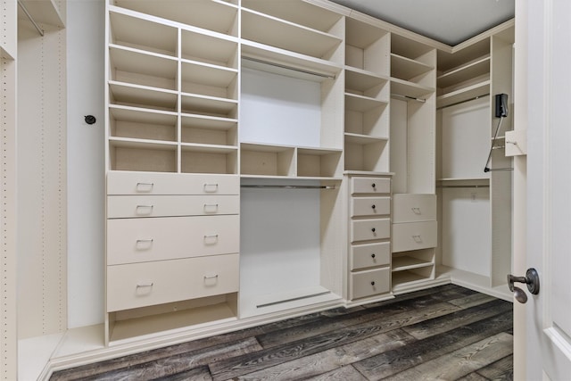 walk in closet with dark wood finished floors