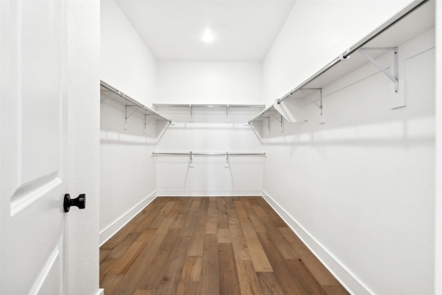 walk in closet featuring hardwood / wood-style floors