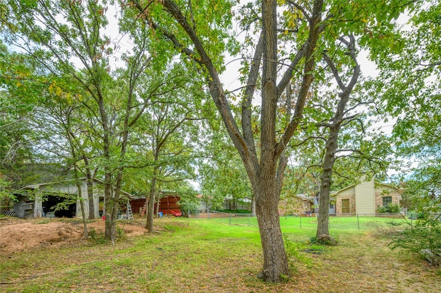 view of yard featuring an outdoor structure