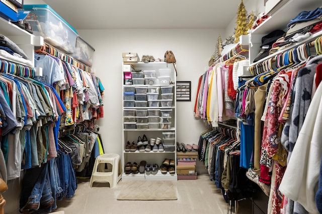 spacious closet featuring carpet floors