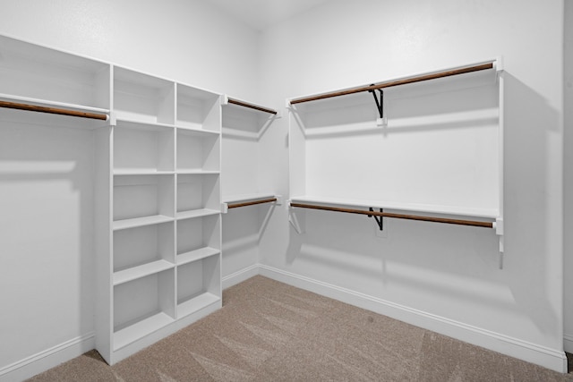 walk in closet featuring carpet