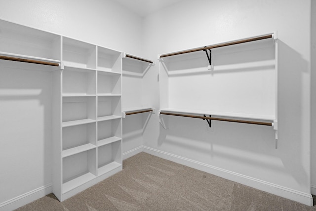 walk in closet with carpet