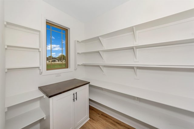 3043 Sunrise Trl, Weatherford, TX 76088 - view of pantry