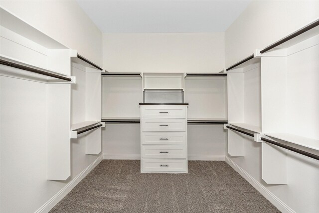 spacious closet with carpet flooring