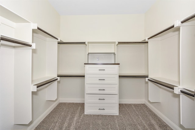 spacious closet featuring carpet floors