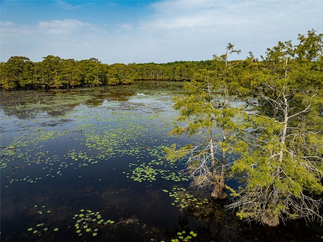 Listing photo 3 for TBD Moon Lake Rd, Jefferson TX 75657