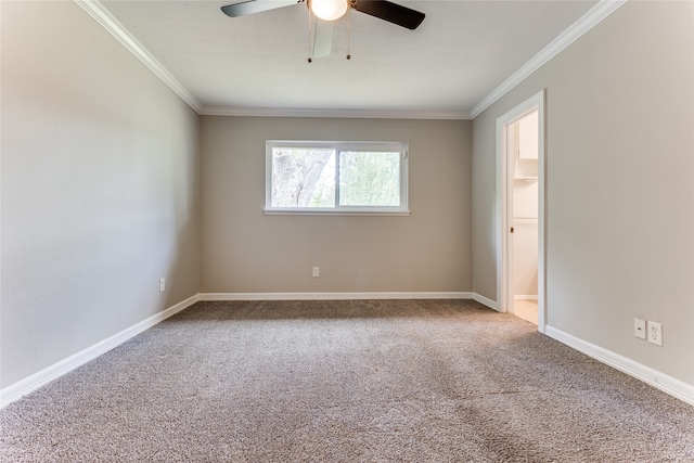 carpeted spare room with ceiling fan and ornamental molding