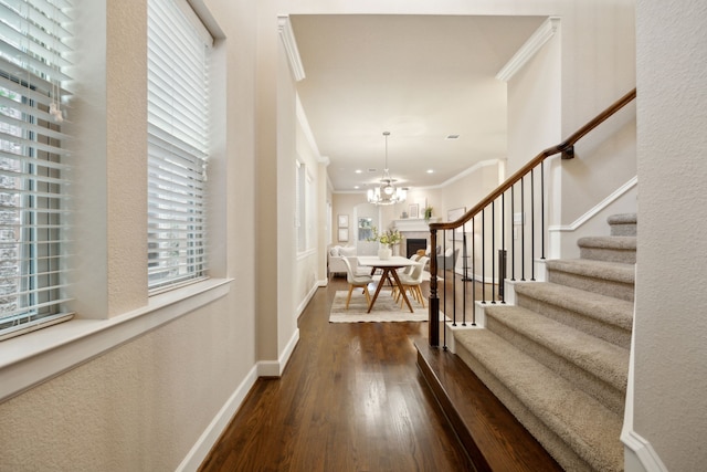 foyer featuring dark wood-type flooring, a chandelier, crown molding, and a healthy amount of sunlight