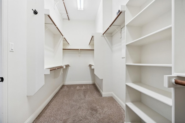 walk in closet with light carpet