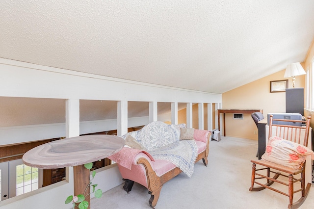 living area featuring carpet flooring, a textured ceiling, vaulted ceiling, and a baseboard heating unit