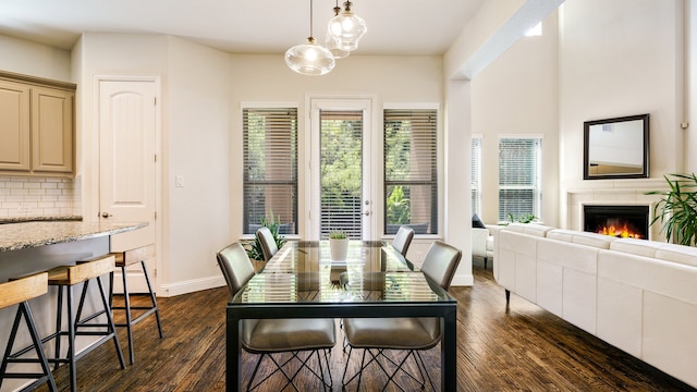 dining space with dark hardwood / wood-style floors