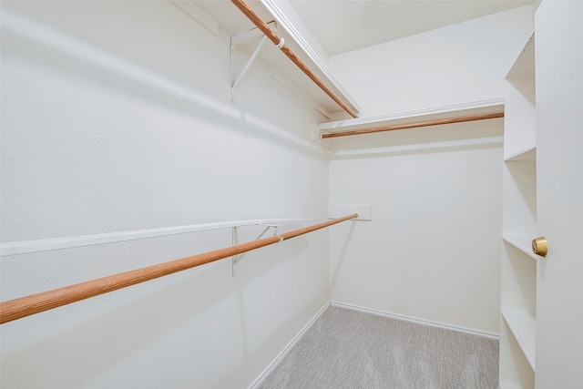 walk in closet with light colored carpet