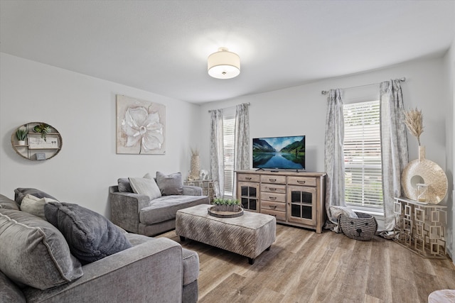 living room featuring wood-type flooring