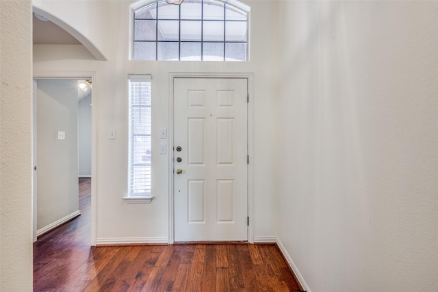 foyer entrance featuring a wealth of natural light, baseboards, arched walkways, and wood finished floors