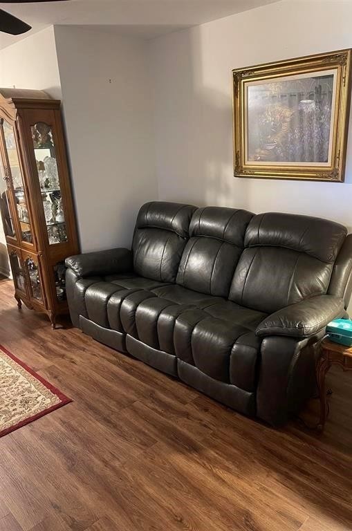 living room with wood-type flooring