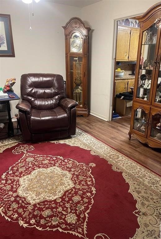 living room with ceiling fan and wood-type flooring