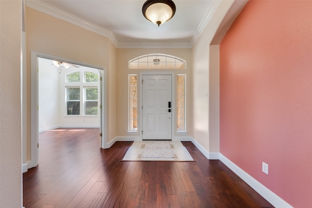 entryway featuring dark wood-type flooring and crown molding