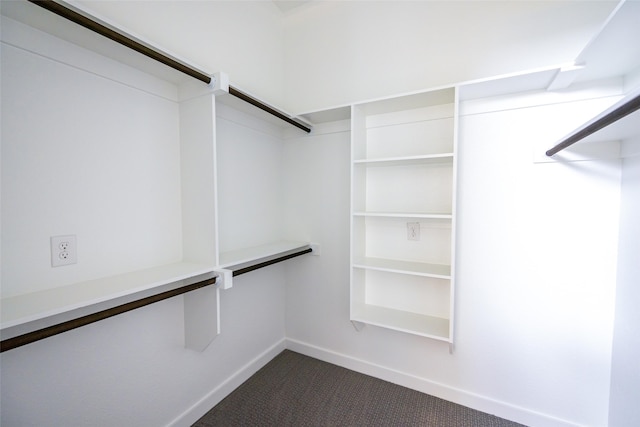 spacious closet featuring carpet flooring