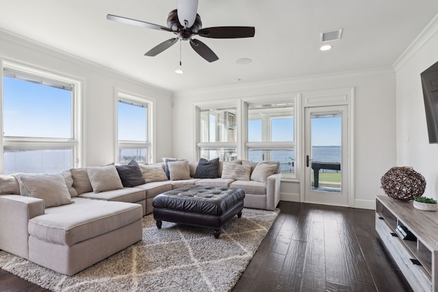 living room with ceiling fan, ornamental molding, and dark wood-type flooring