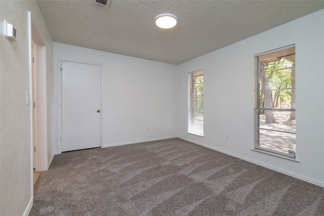 carpeted spare room with plenty of natural light and a textured ceiling