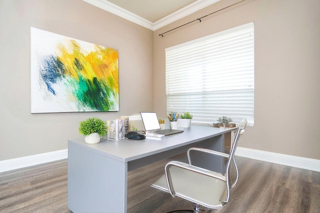 office area featuring crown molding and dark hardwood / wood-style floors