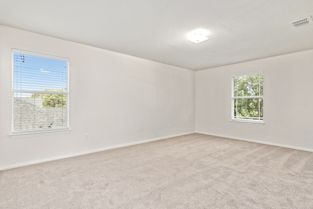 spare room with a textured ceiling, a healthy amount of sunlight, and light colored carpet