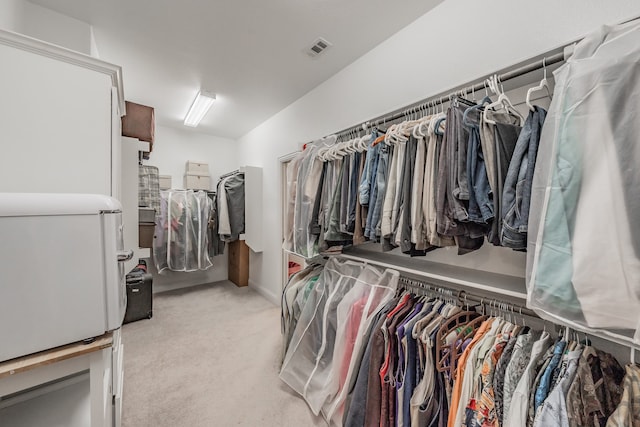 spacious closet with light carpet