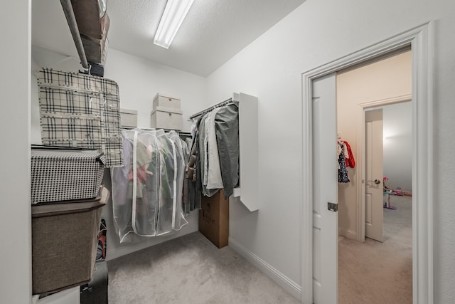 walk in closet with carpet