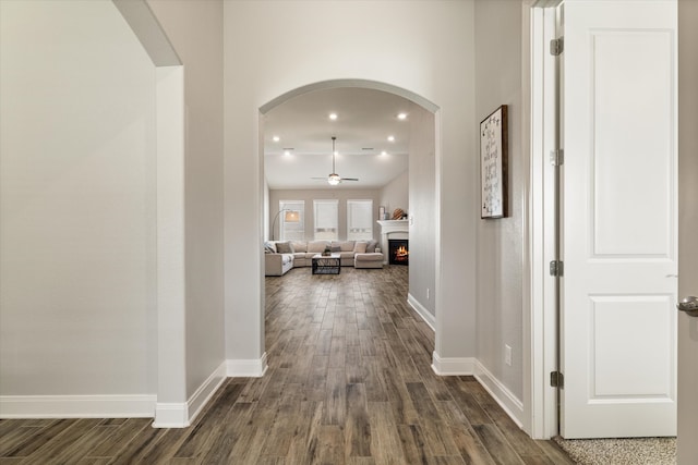 hallway featuring dark hardwood / wood-style flooring