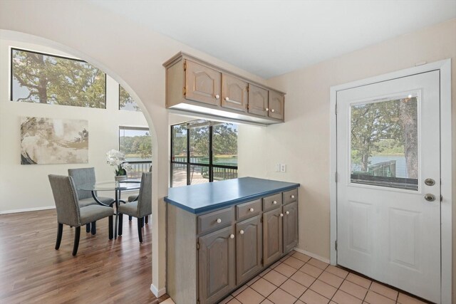 kitchen with a wealth of natural light and light wood-type flooring