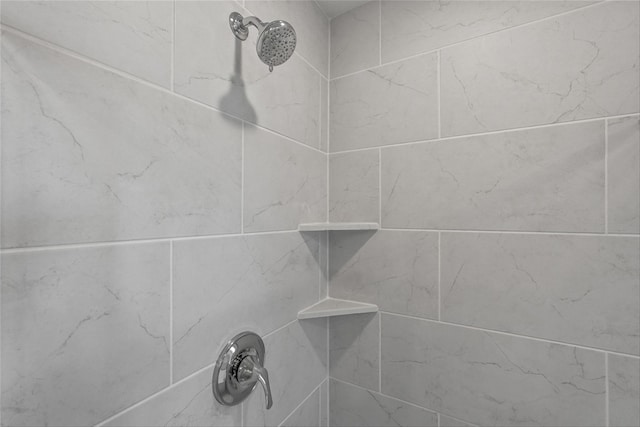 interior details featuring tiled shower