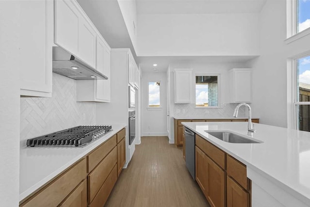 kitchen featuring sink, appliances with stainless steel finishes, white cabinets, exhaust hood, and light wood-type flooring