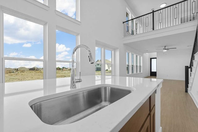 kitchen with a high ceiling, light hardwood / wood-style flooring, and sink