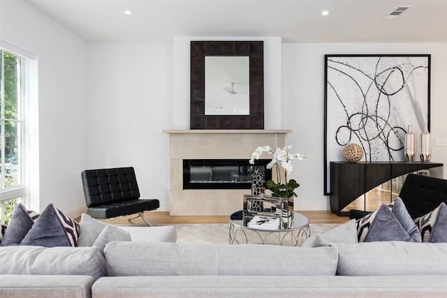 living room featuring light hardwood / wood-style floors and a premium fireplace