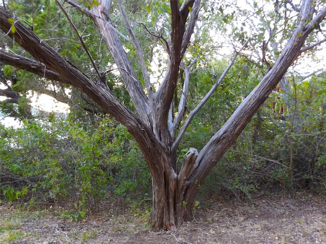 view of nature