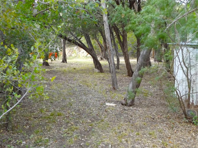 view of local wilderness