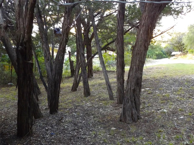 view of nature