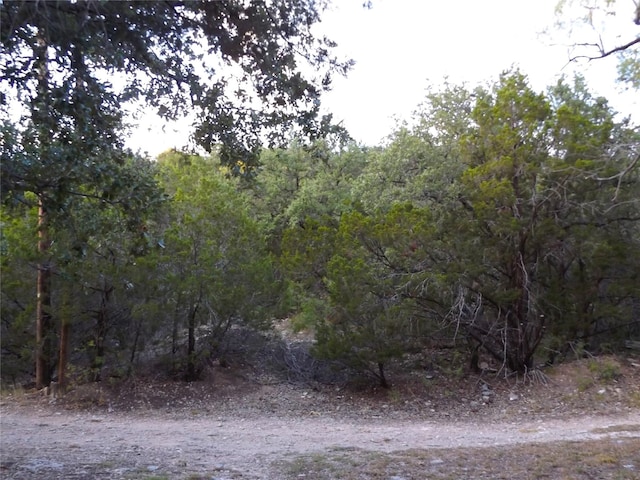 view of nature featuring a view of trees