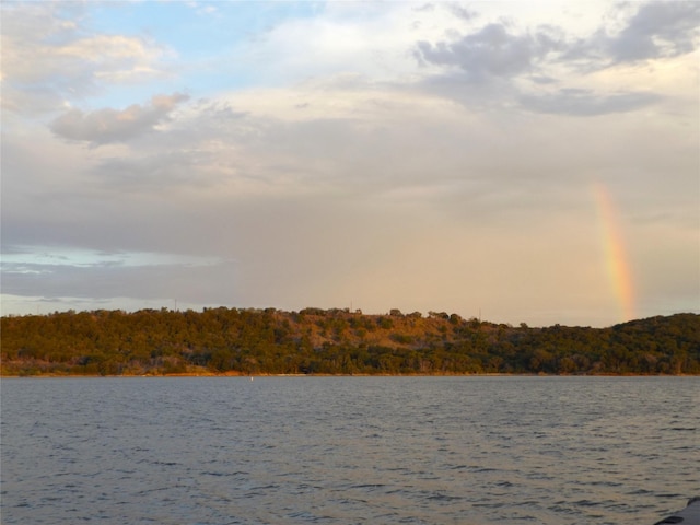 property view of water featuring a wooded view