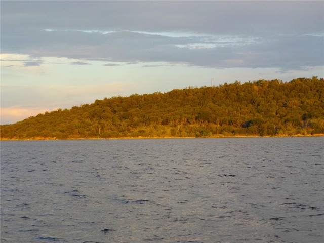 property view of water featuring a wooded view