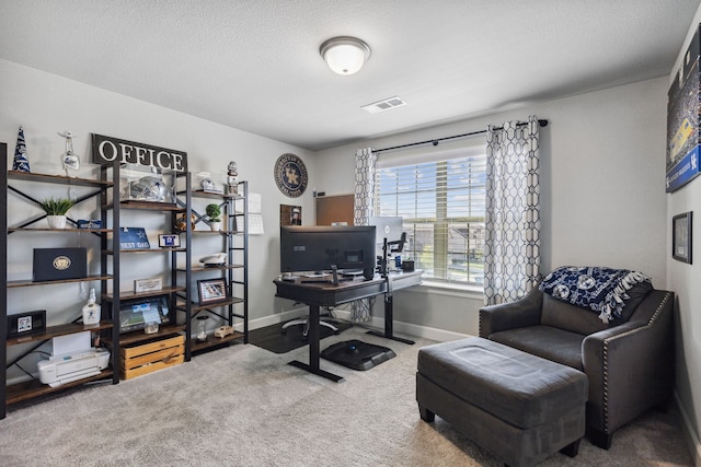 carpeted office space with a textured ceiling