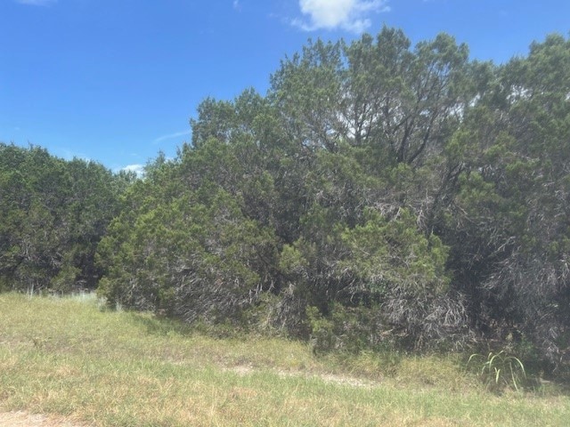 10053 Bluffview Ct, Whitney TX, 76692 land for sale